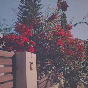 小萝莉扒开尿口久久久
