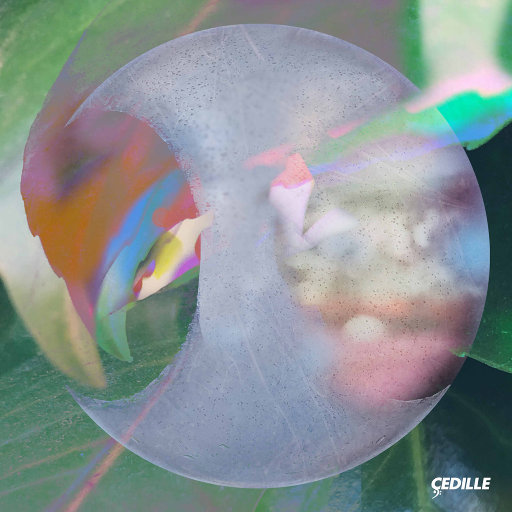 小萝莉扒开尿口久久久
